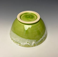 Load image into Gallery viewer, Bowl- Key Lime
