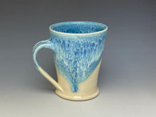 Load image into Gallery viewer, Swordfish Mug- Ice Blue
