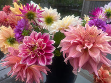 Load image into Gallery viewer, Mixed Dahlia Bouquet
