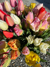 Load image into Gallery viewer, Specialty Tulip Bouquet
