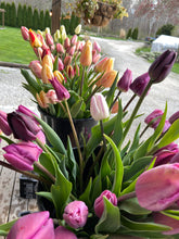 Load image into Gallery viewer, Specialty Tulip Bouquet
