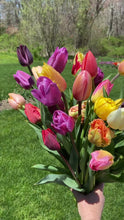 Load and play video in Gallery viewer, Specialty Tulip Bouquet
