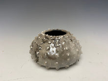 Load image into Gallery viewer, Mini White Crackle Raku Urchin Air Plant Vase
