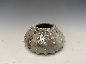 Mini White Crackle Raku Urchin Air Plant Vase