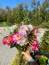 Load image into Gallery viewer, A Bag of Mixed Dahlia Tubers - Best Value!
